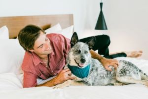 Best Pet-Friendly Hotels in Denver: Stay with Your Furry Friend in Comfort